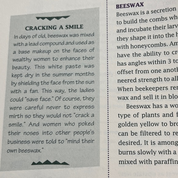 The Candlemaker’s Companion by Betty Oppenheimer - Picture 3 of 11